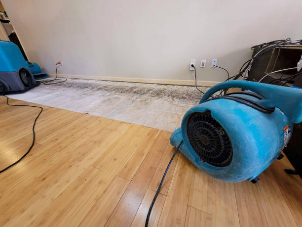 Professional Burst Pipe Water Damage technician working in Pickwick Dam, TN
